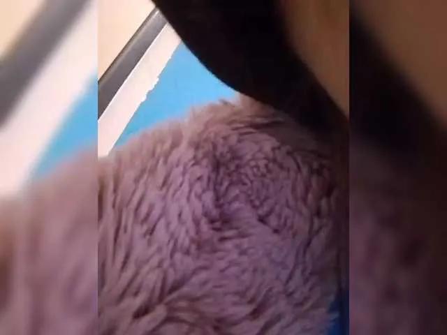 BongaCams Bogina2 Bogina2 from BongaCams