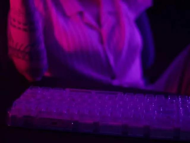 Cute DianaMurr wants you to fuck her body now DianaMurr from BongaCams