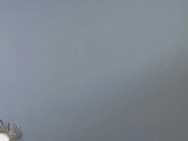 Cute MisteryBlush from BongaCams MisteryBlush from BongaCams